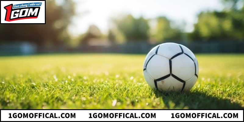 Giải mã toàn bộ về kèp chấp 0.5